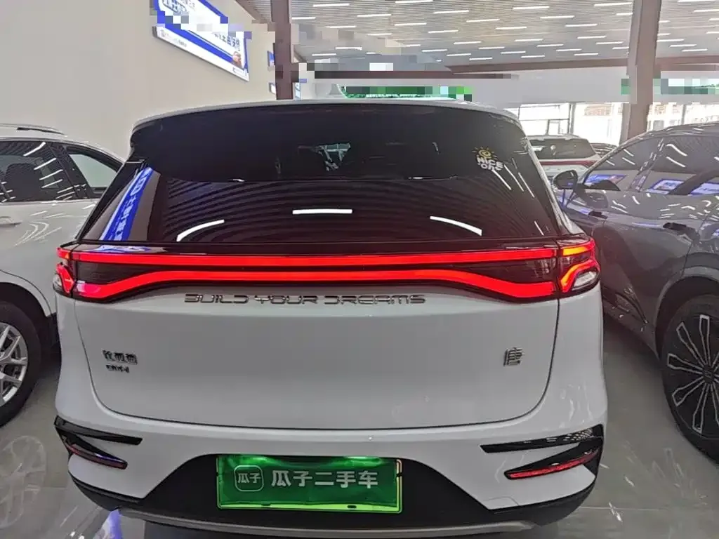 BYD Tang New Energy — фото 2