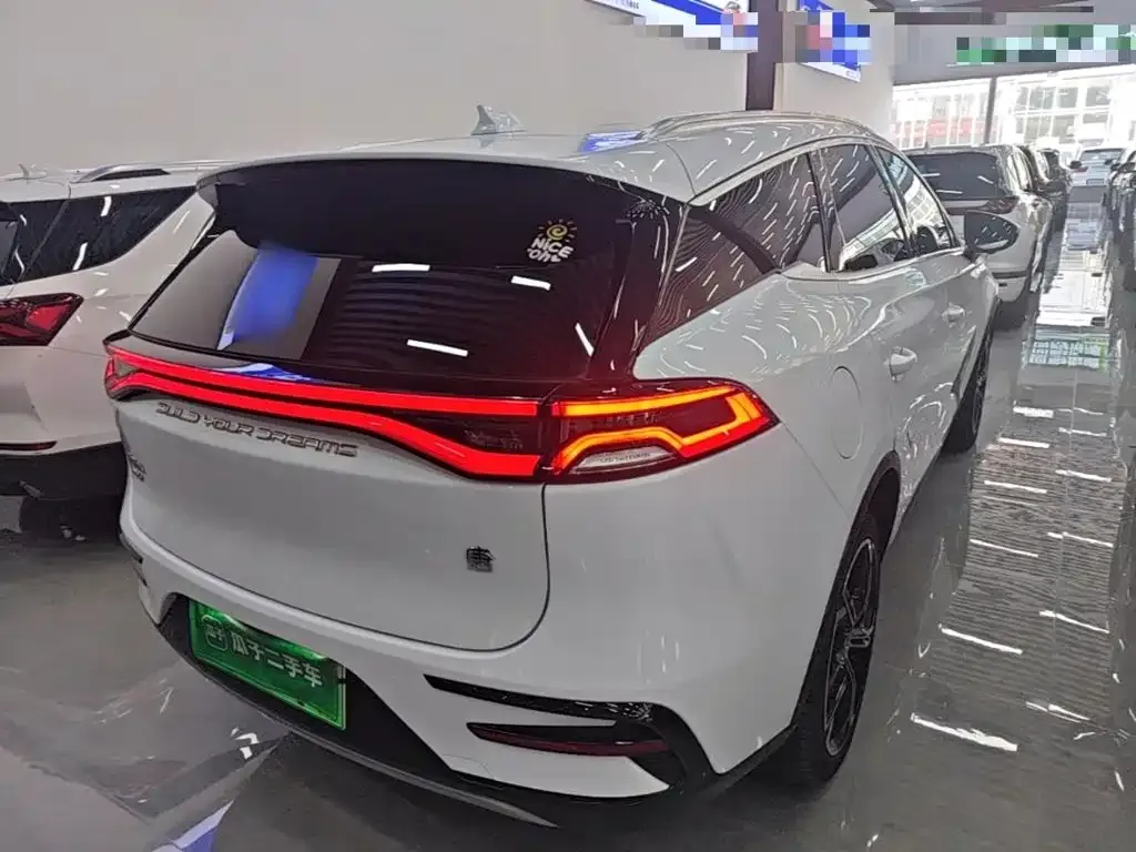 BYD Tang New Energy — фото 8