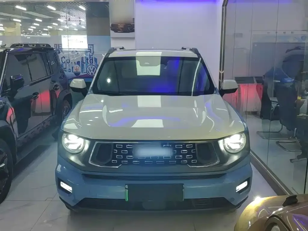 Haval Big Dog PLUS New Energy — фото 6