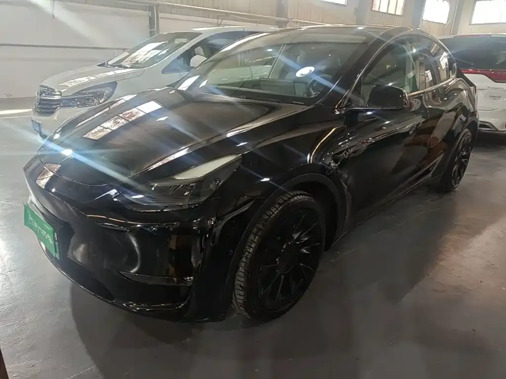 Tesla Model Y — фото 6