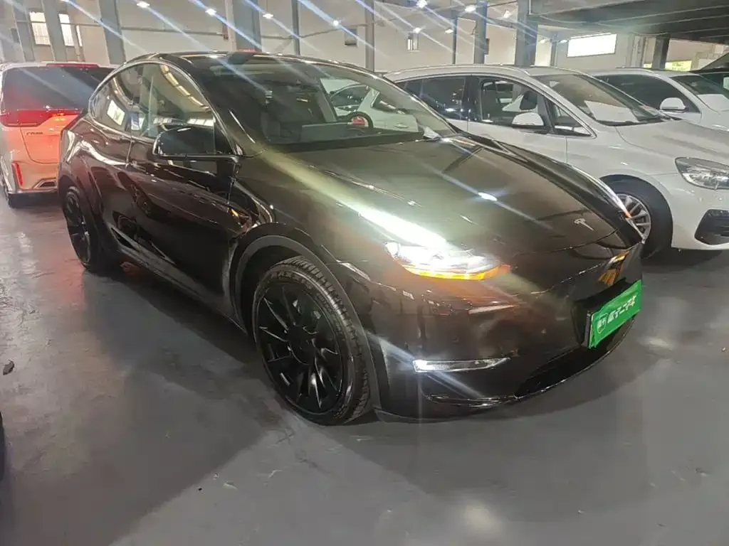 Tesla Model Y — фото 2