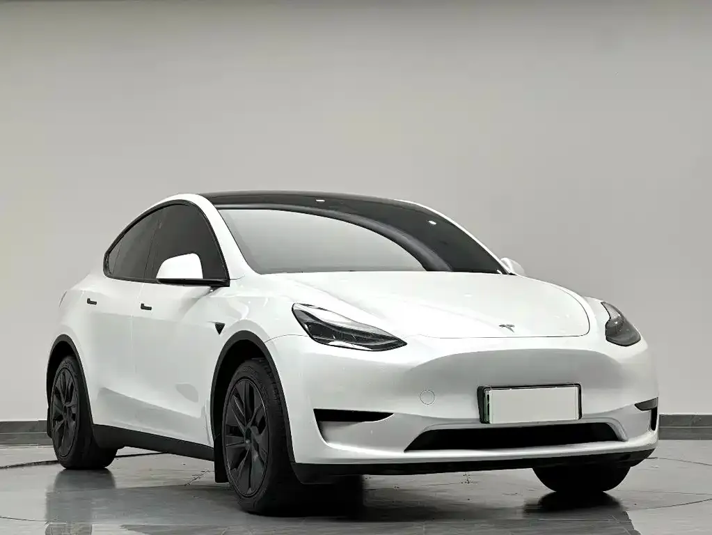 Tesla Model Y — фото 5