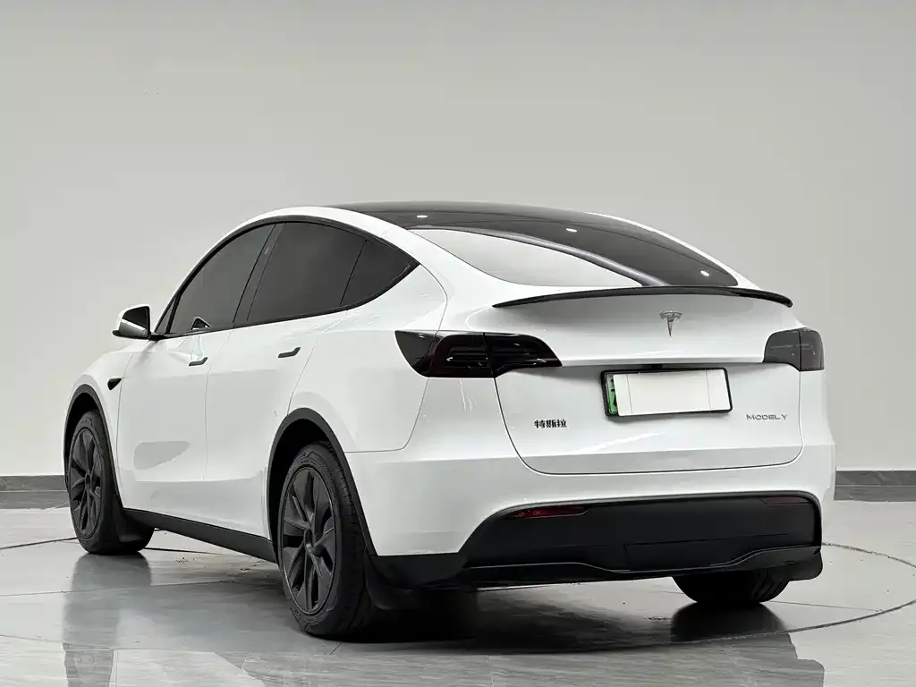 Tesla Model Y — фото 4