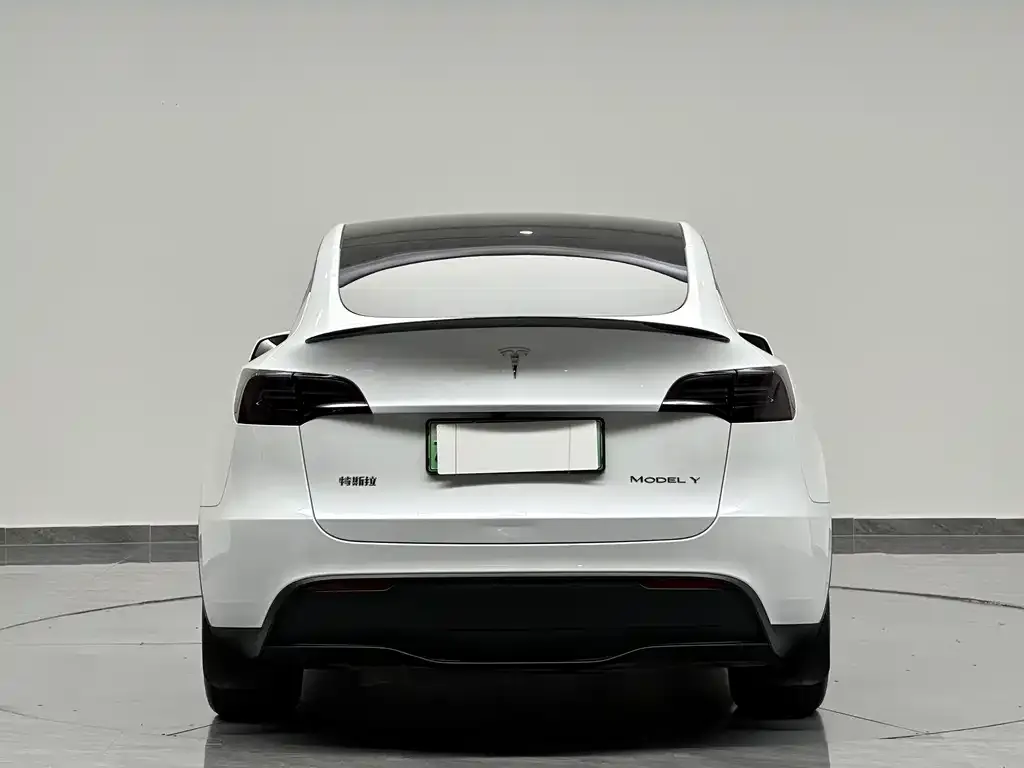 Tesla Model Y — фото 8