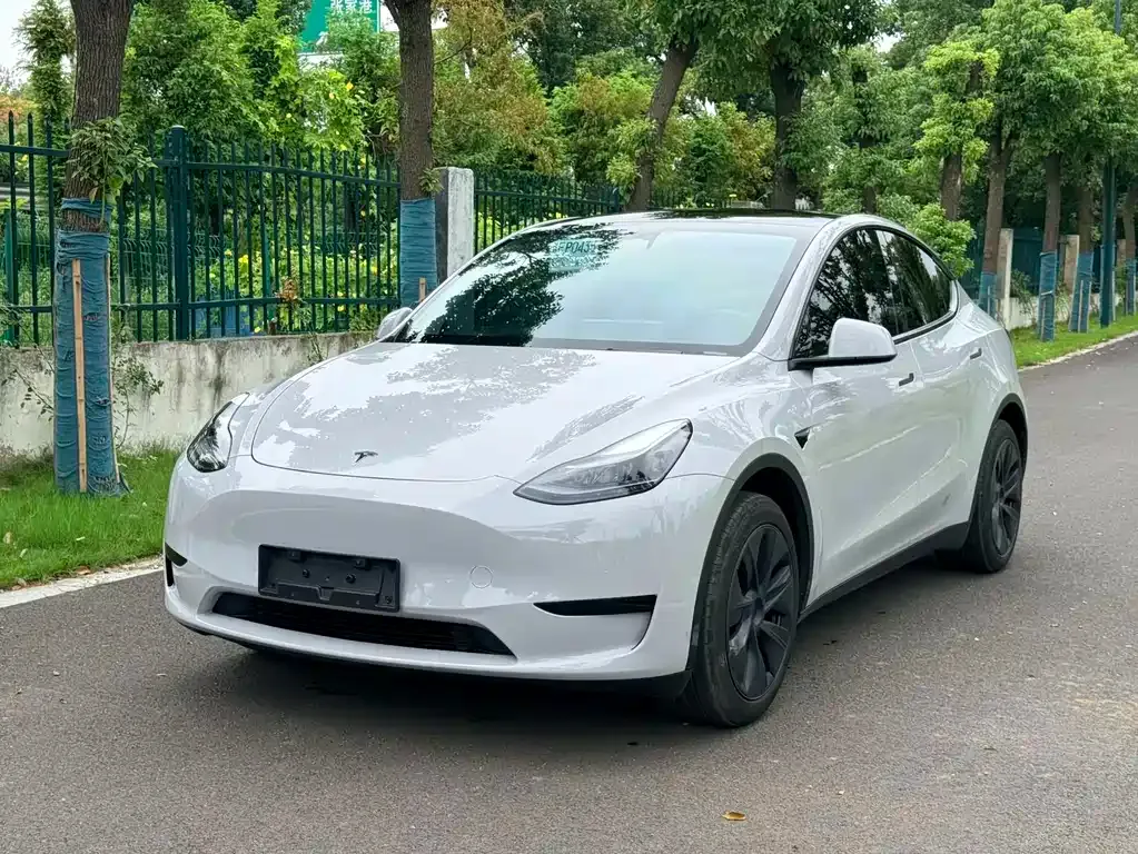 Tesla Model Y — фото 1