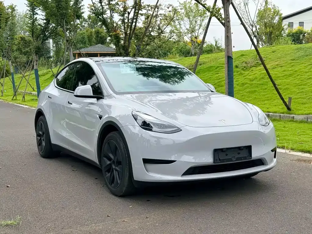 Tesla Model Y — фото 2