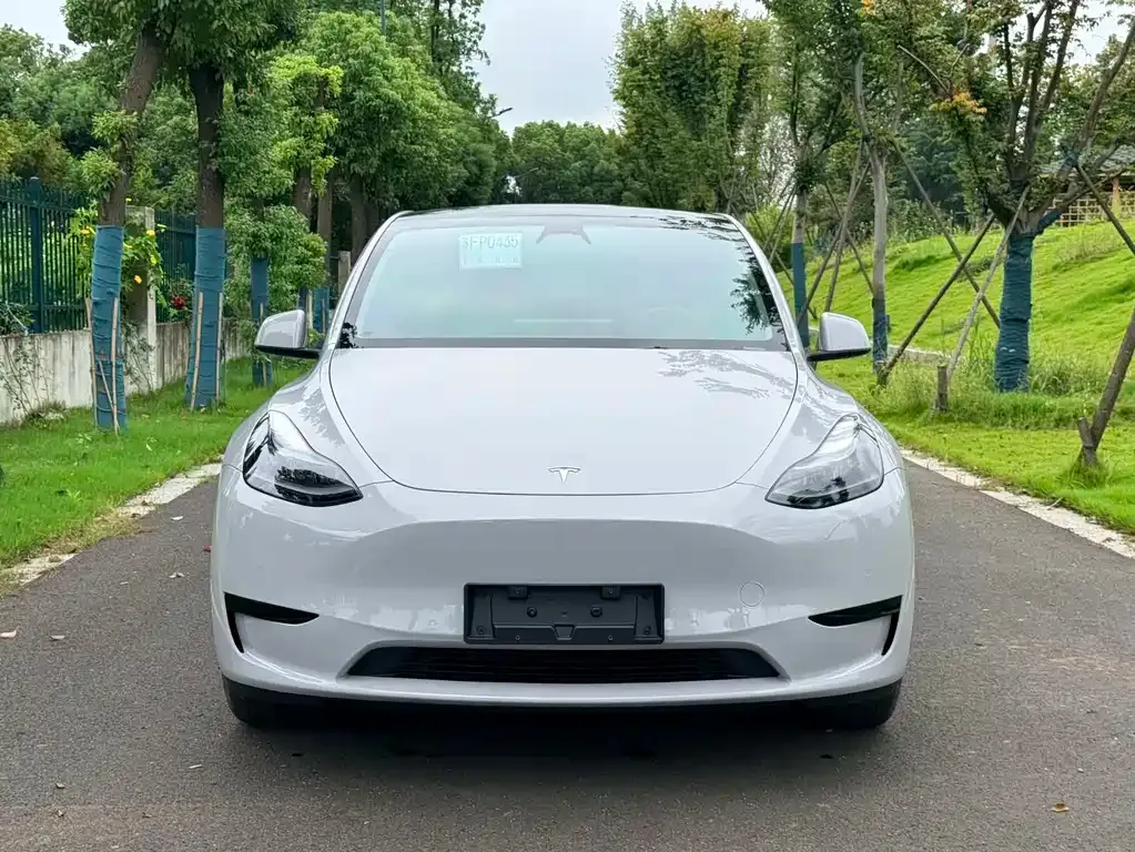 Tesla Model Y — фото 7