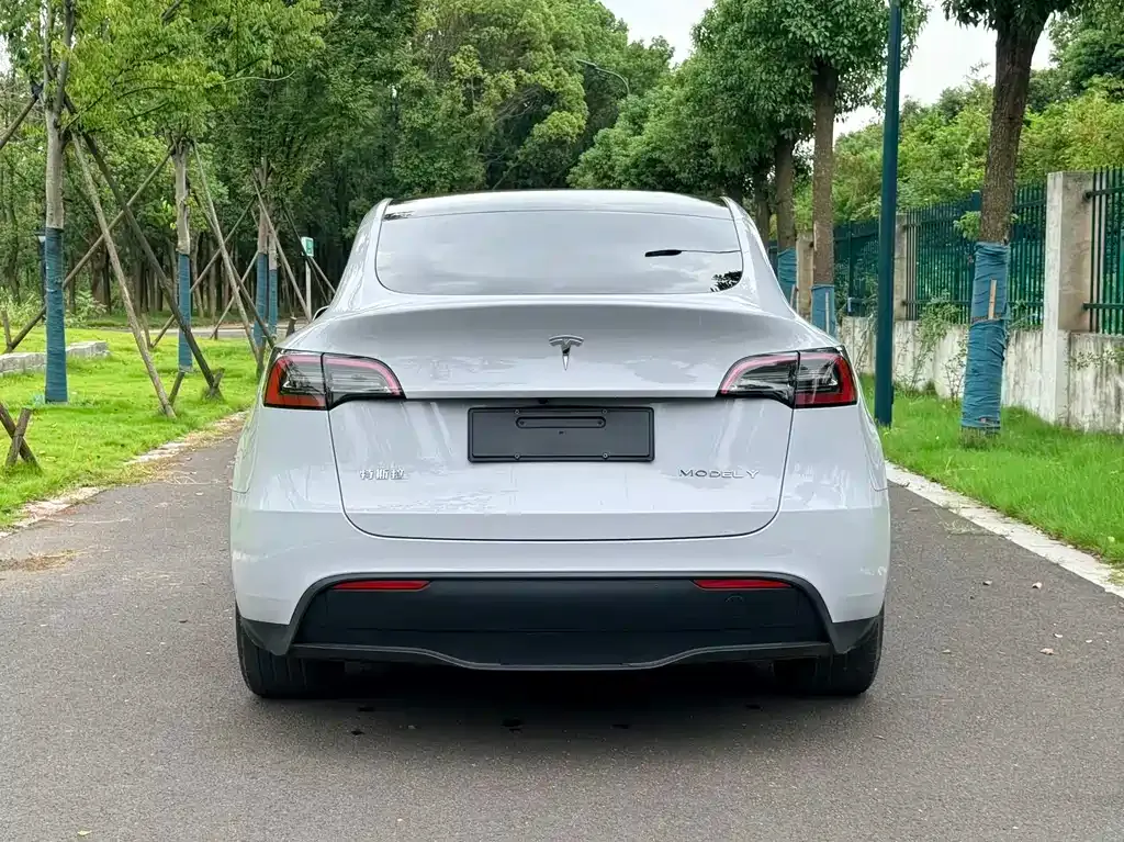 Tesla Model Y — фото 10