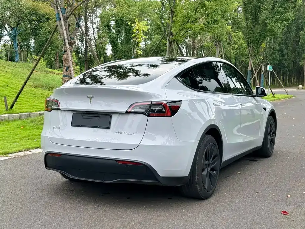 Tesla Model Y — фото 9