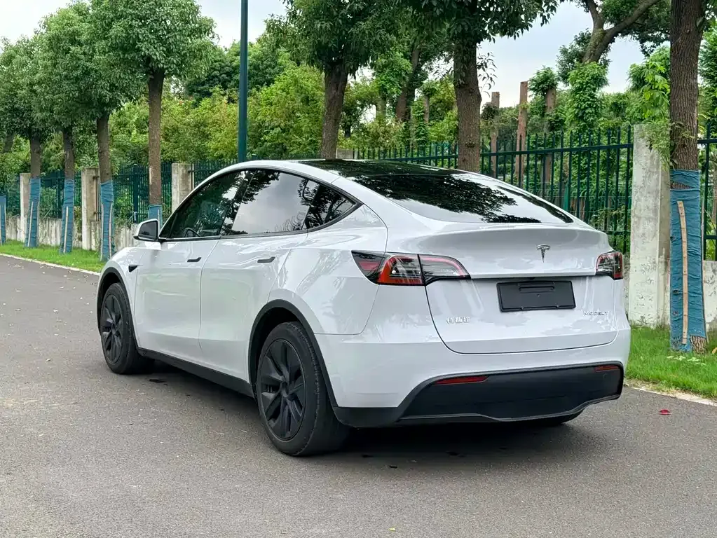 Tesla Model Y — фото 8