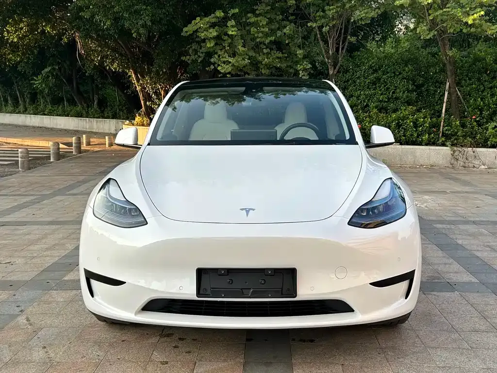 Tesla Model Y — фото 10