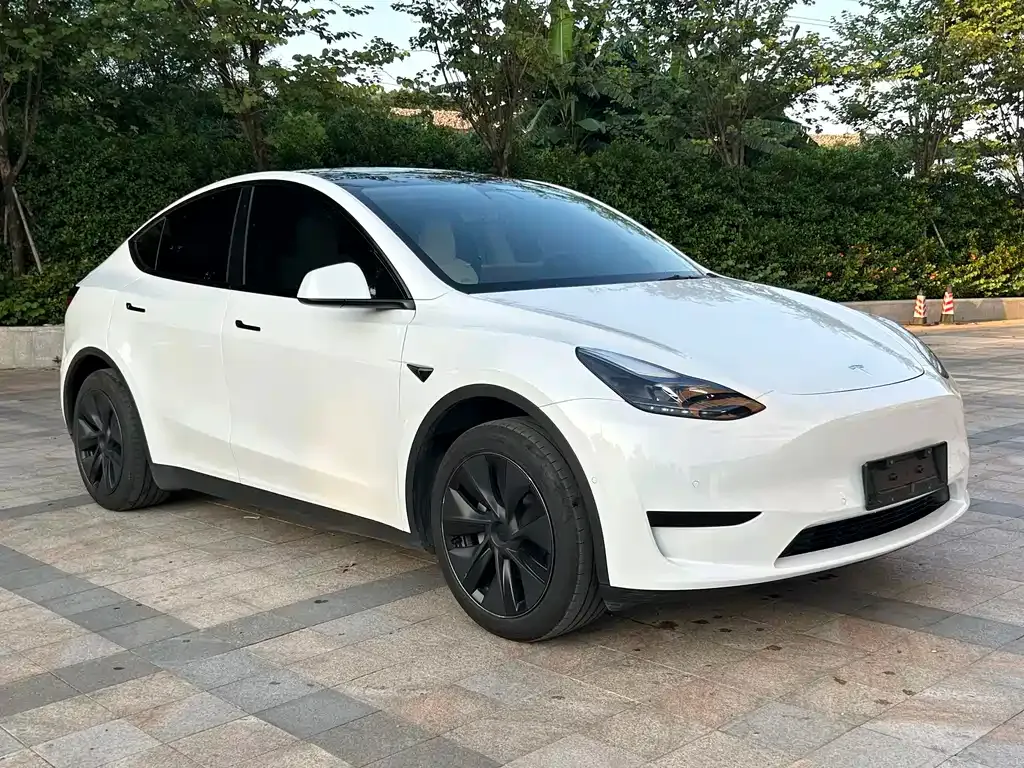 Tesla Model Y — фото 8