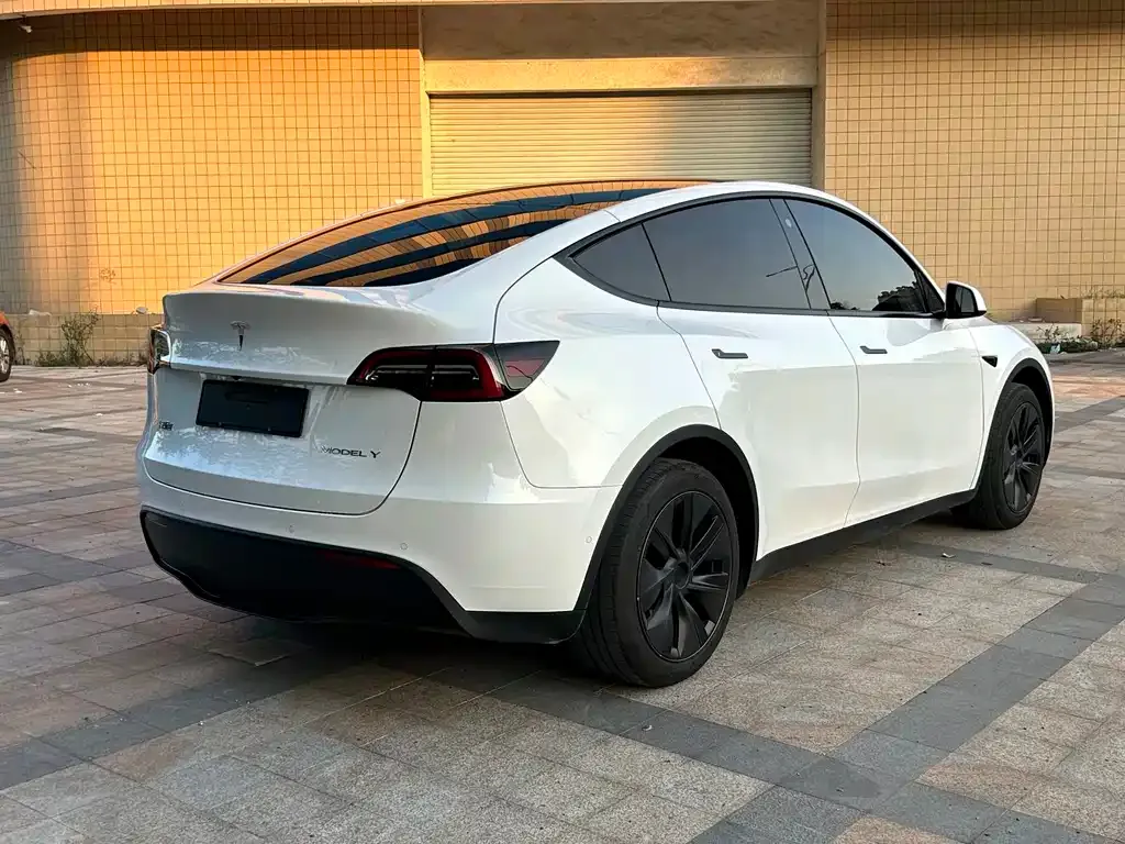 Tesla Model Y — фото 3