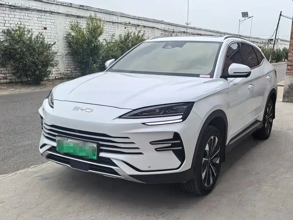 BYD PLUS New Energy — фото 1