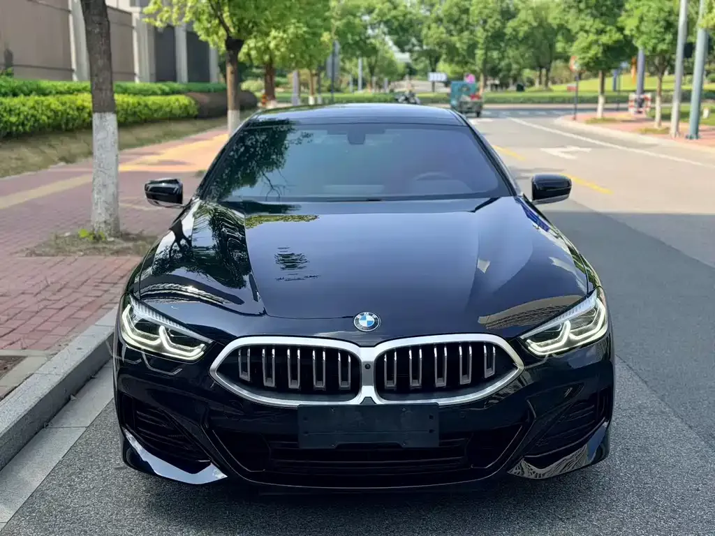 BMW 8 Series — фото 10