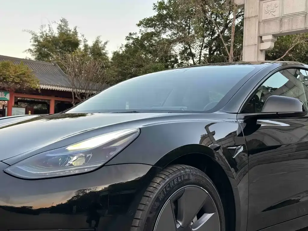 Tesla Model 3 — фото 2
