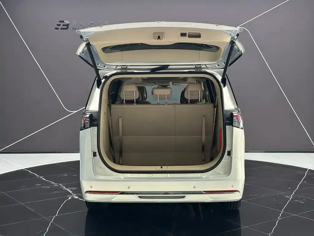 Buick GL8 Hybrid — фото 10