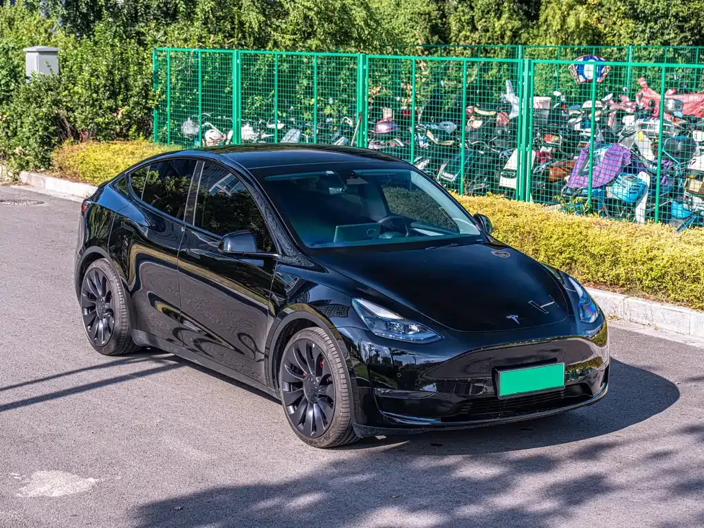 Tesla Model Y — фото 9