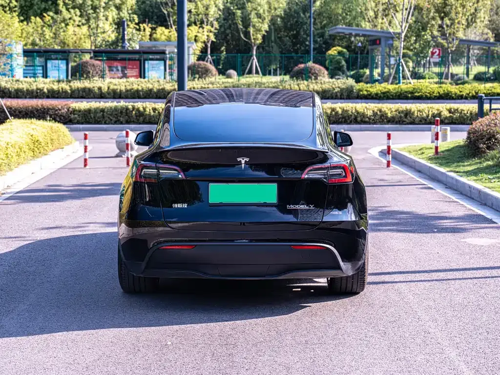 Tesla Model Y — фото 3