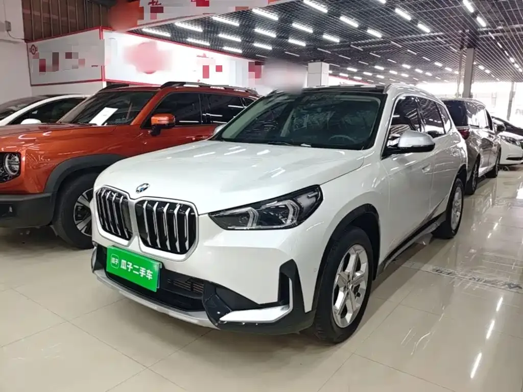 BMW X1 — фото 1
