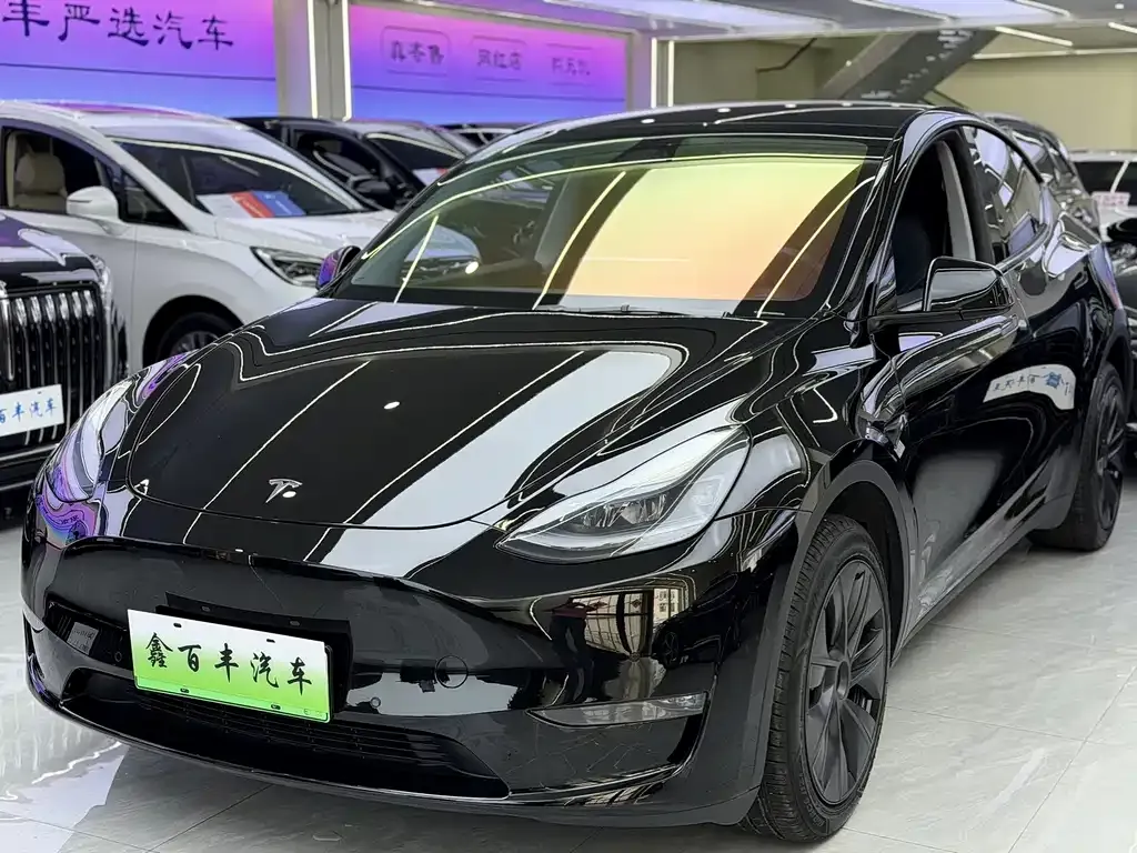Tesla Model Y — фото 1