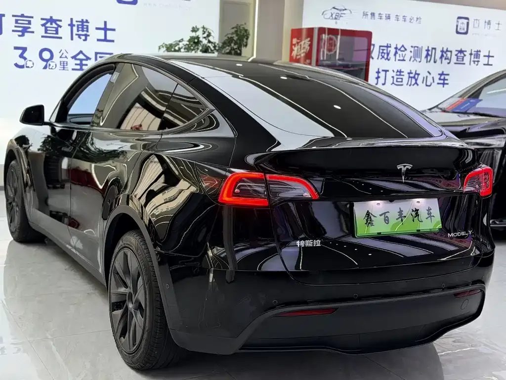 Tesla Model Y — фото 9