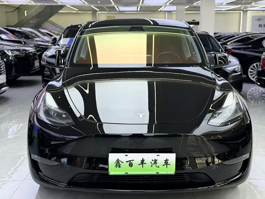 Tesla Model Y — фото 4