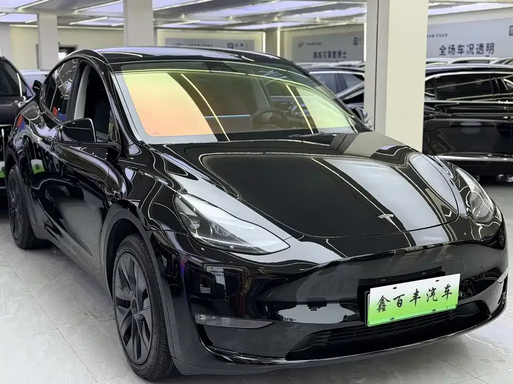 Tesla Model Y — фото 10