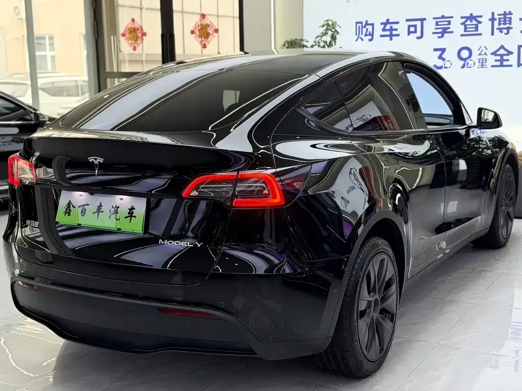 Tesla Model Y — фото 6