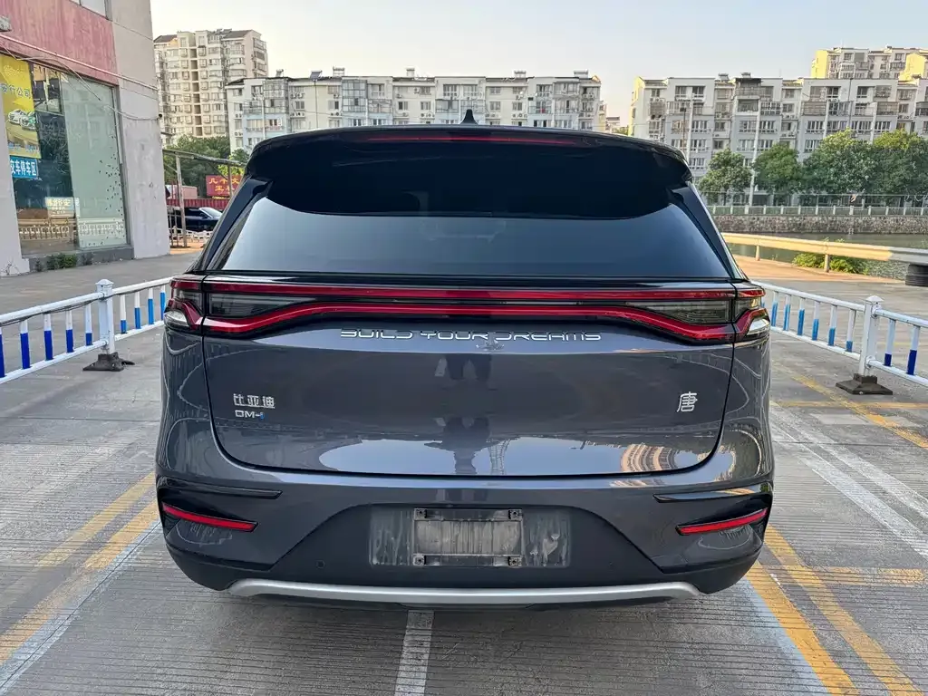 BYD Tang New Energy — фото 8