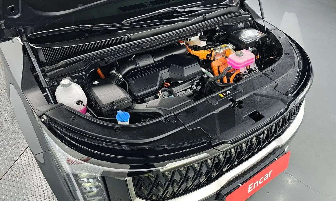 Kia Carnival — фото 10