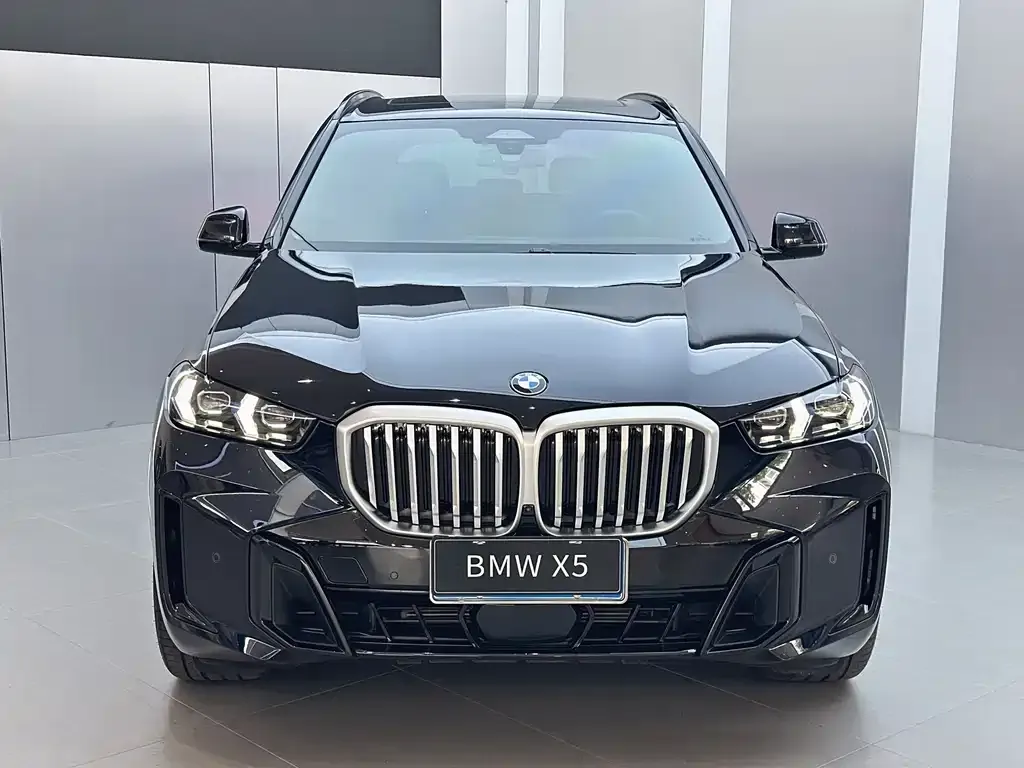 BMW X5 — фото 3