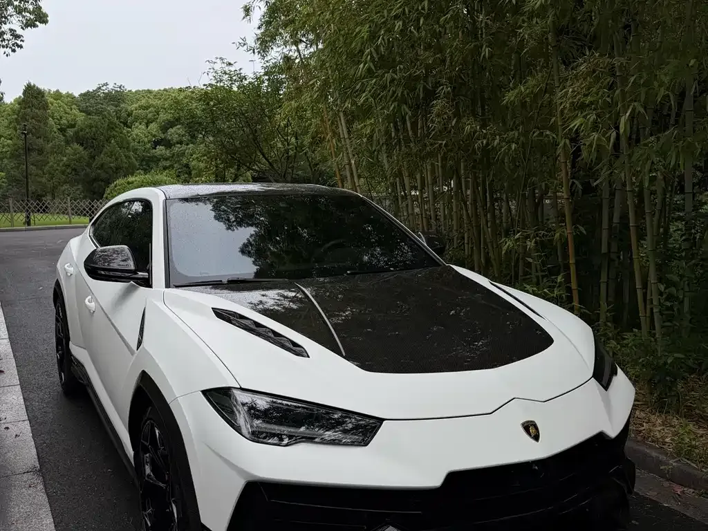 Lamborghini Urus — фото 4