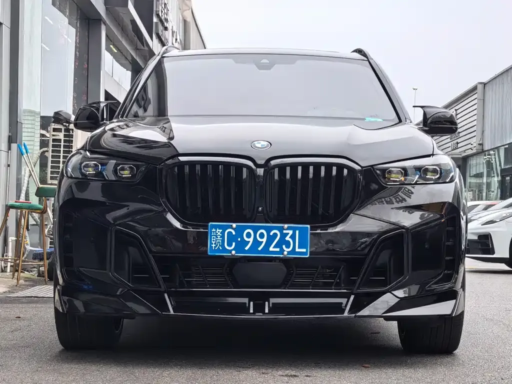 BMW X5 — фото 10