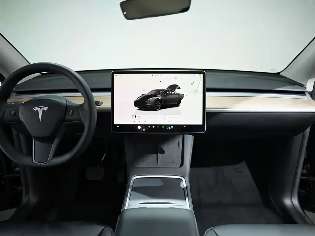 Tesla Model Y — фото 8