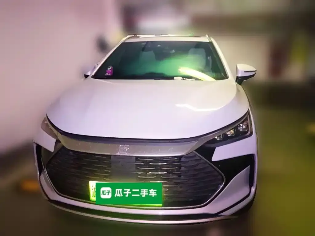 BYD Tang New Energy — фото 2