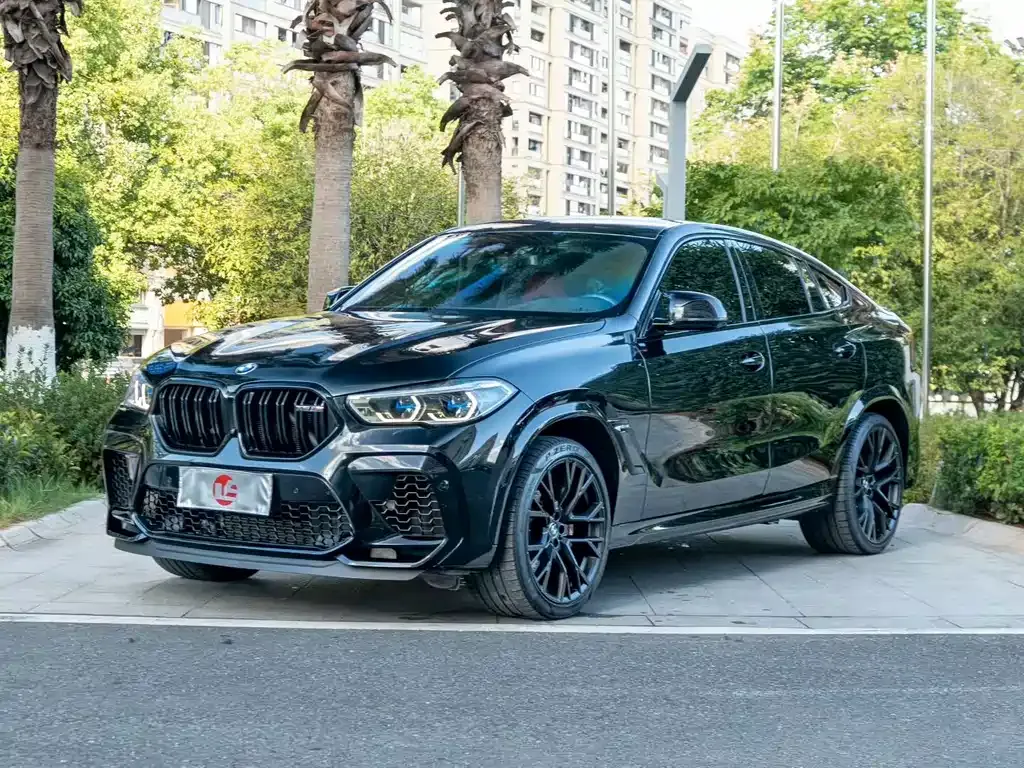 BMW X6 M — фото 1