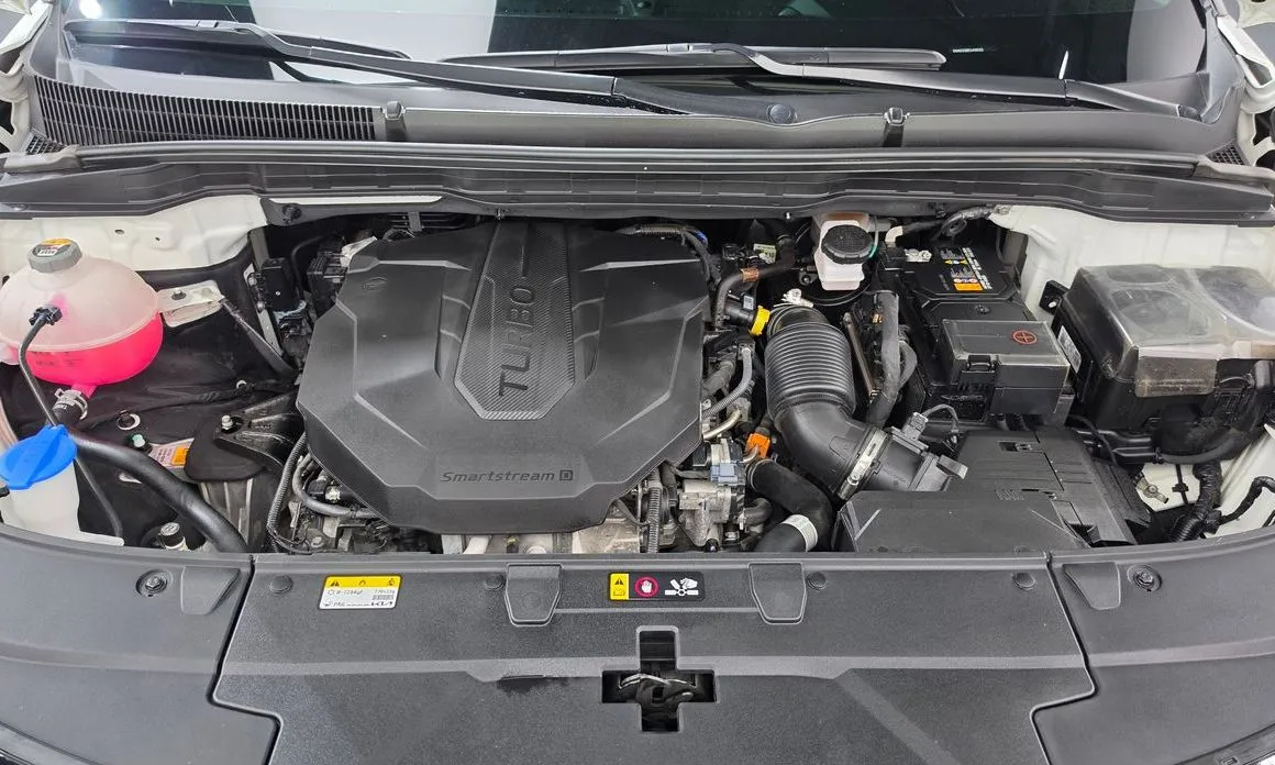 Kia Carnival — фото 10