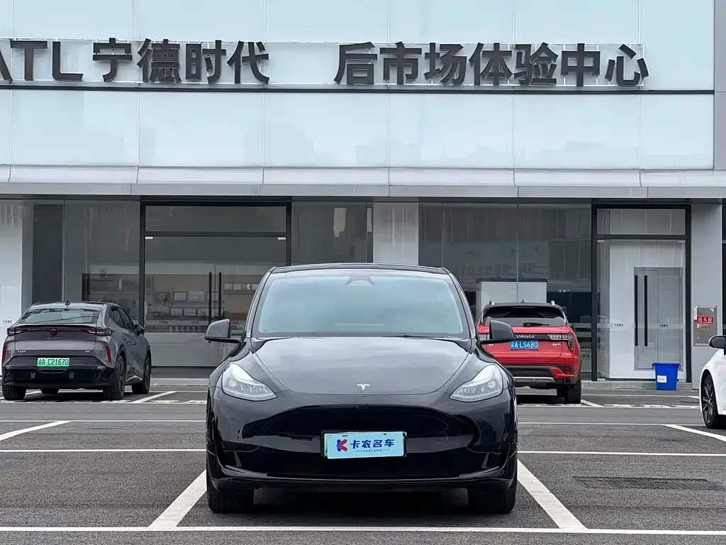 Tesla Model Y — фото 1