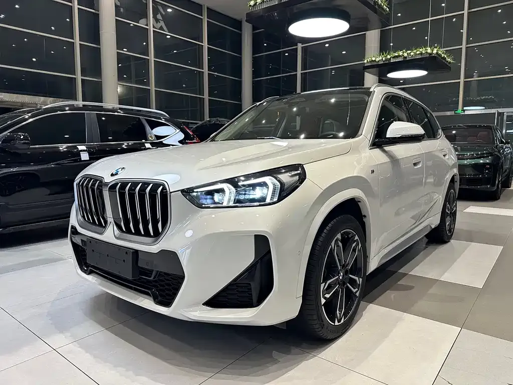 BMW X1 — фото 1