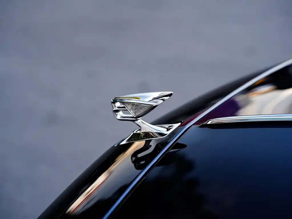 Bentley Flying Spur — фото 2