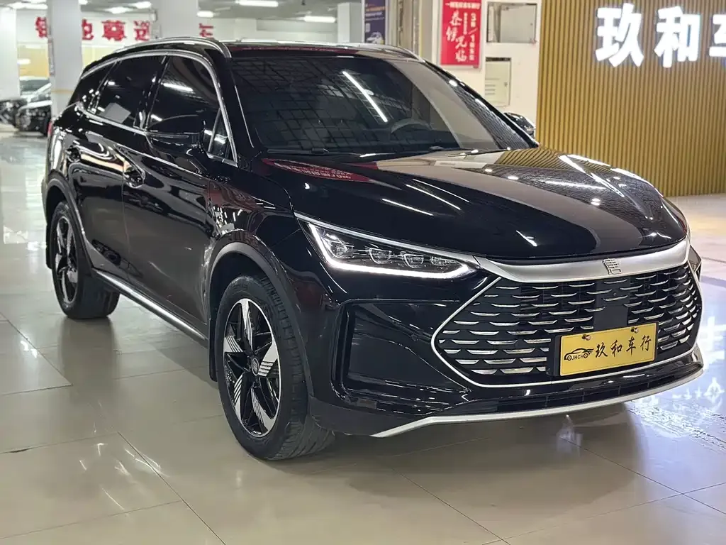 BYD Tang New Energy — фото 4