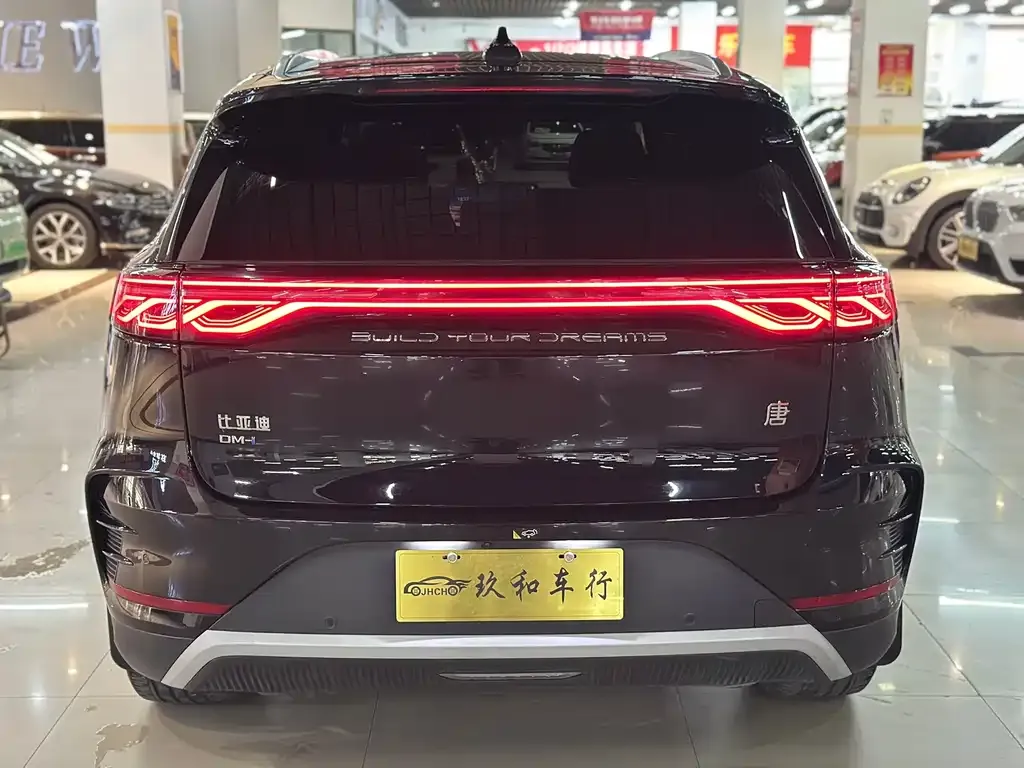 BYD Tang New Energy — фото 2