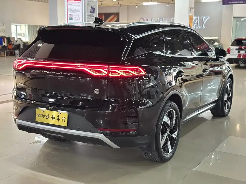 BYD Tang New Energy — фото 7