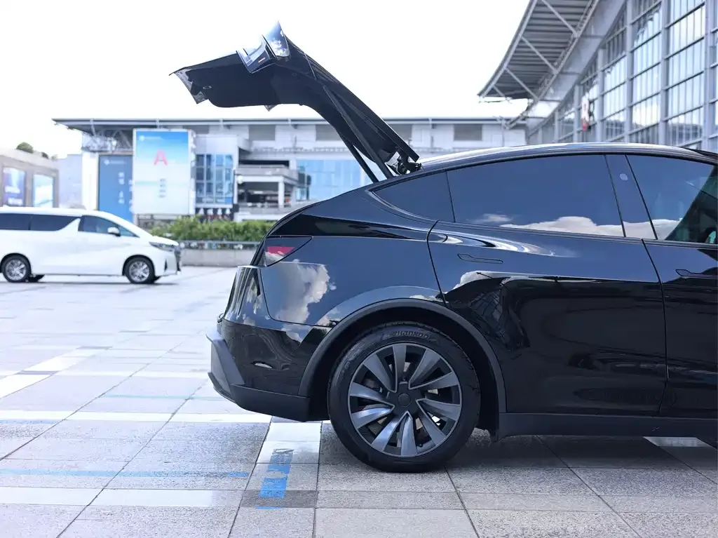 Tesla Model Y — фото 3