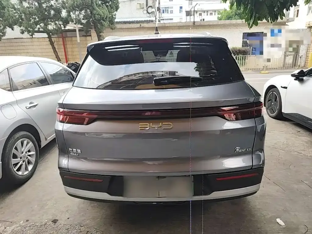 BYD Pro New Energy — фото 2