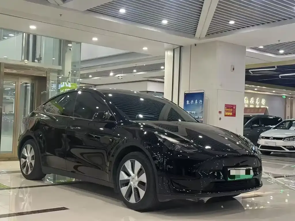 Tesla Model Y — фото 6
