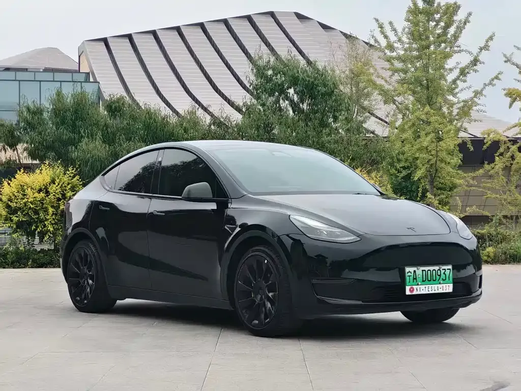 Tesla Model Y — фото 1