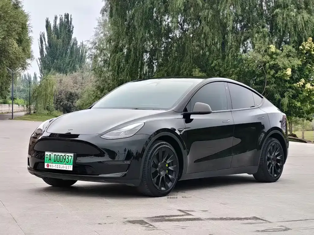 Tesla Model Y — фото 7