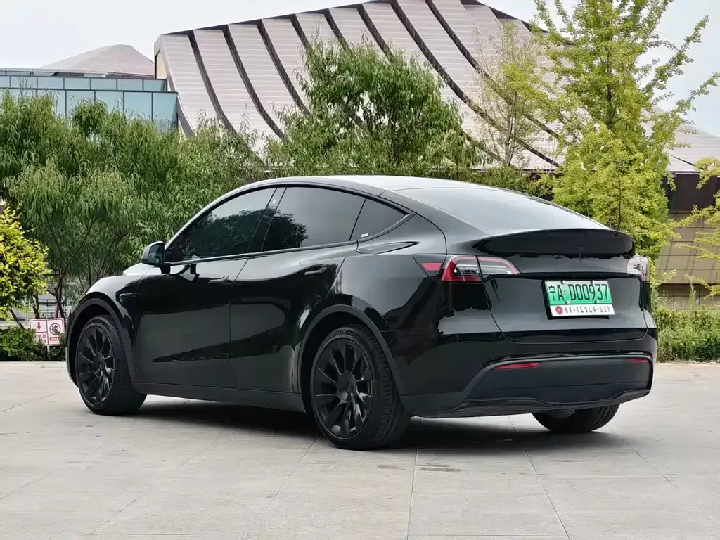 Tesla Model Y — фото 3